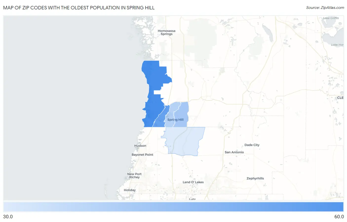 Zip Codes with the Oldest Population in Spring Hill Map