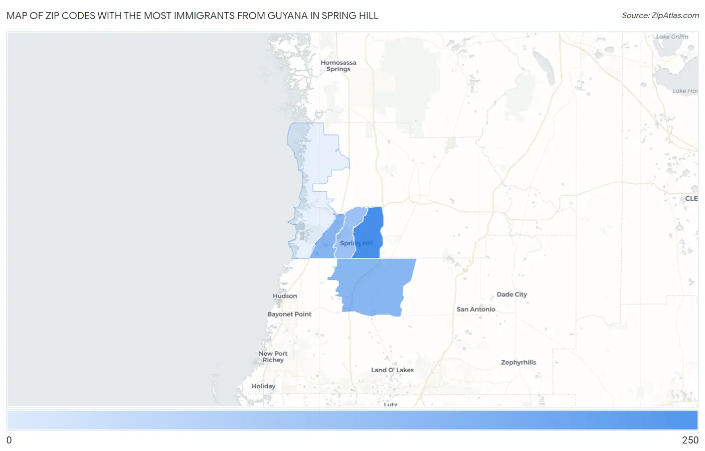 Zip Codes with the Most Immigrants from Guyana in Spring Hill Map