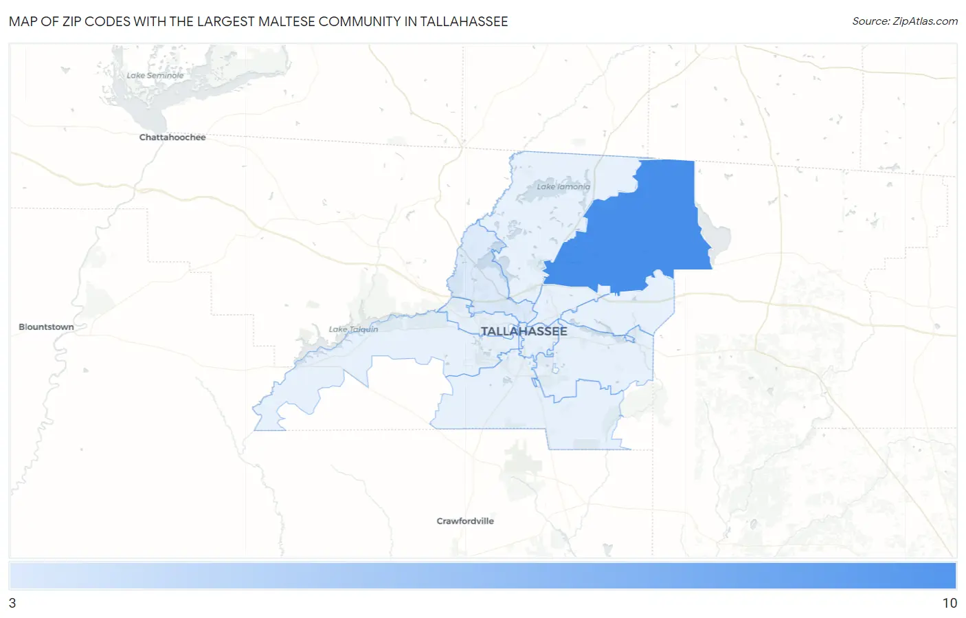 Zip Codes with the Largest Maltese Community in Tallahassee Map