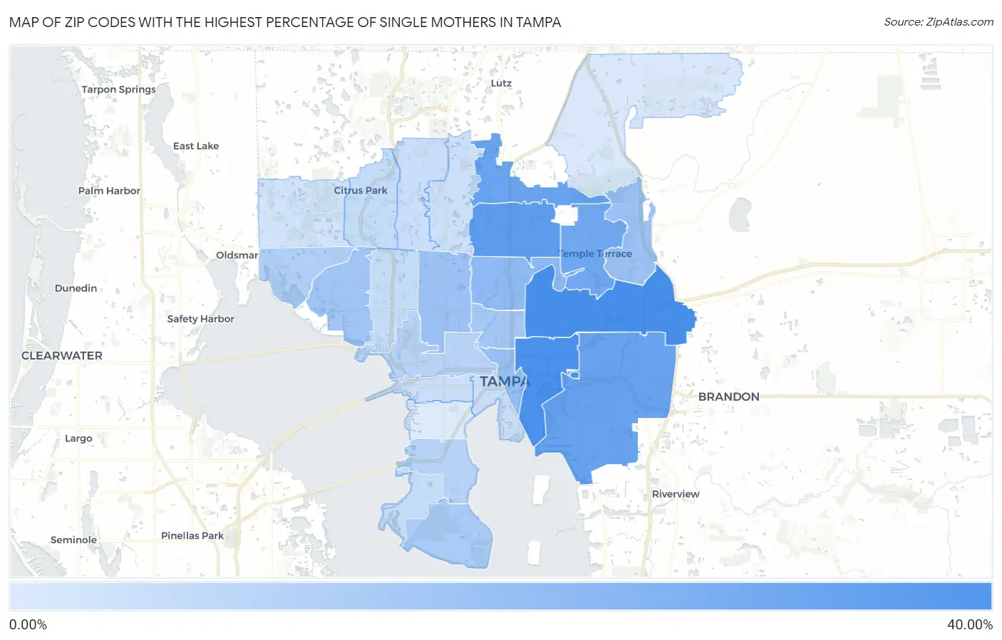 Zip Codes with the Highest Percentage of Single Mothers in Tampa Map