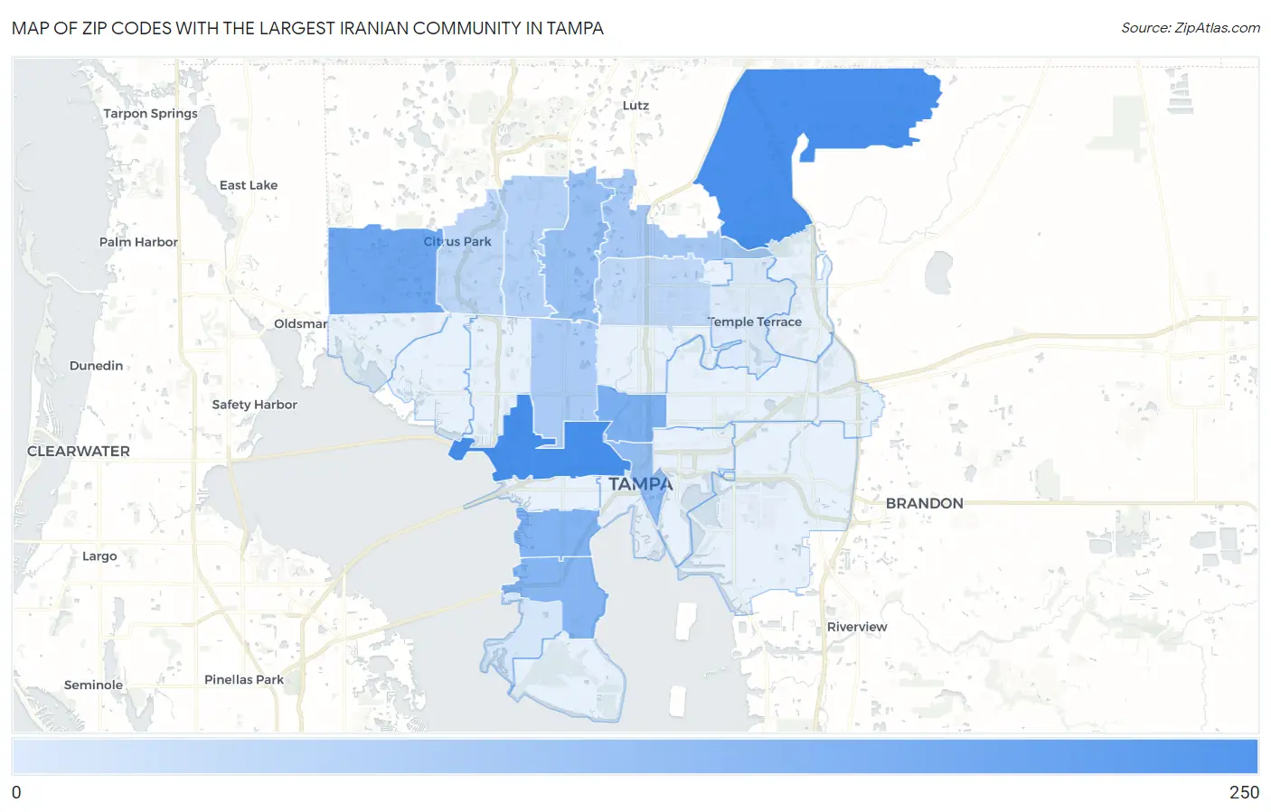 Zip Codes with the Largest Iranian Community in Tampa Map