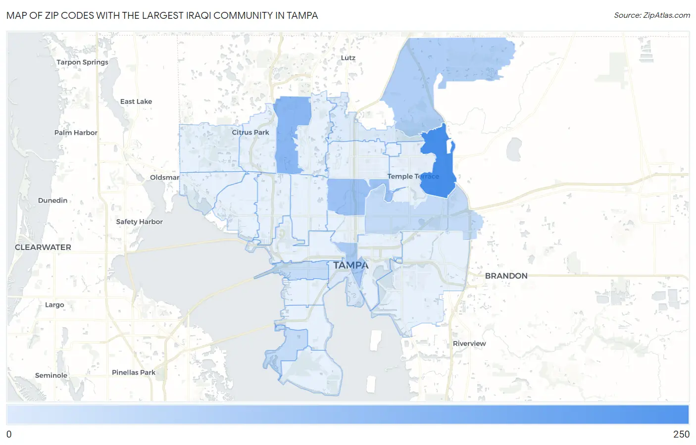 Zip Codes with the Largest Iraqi Community in Tampa Map