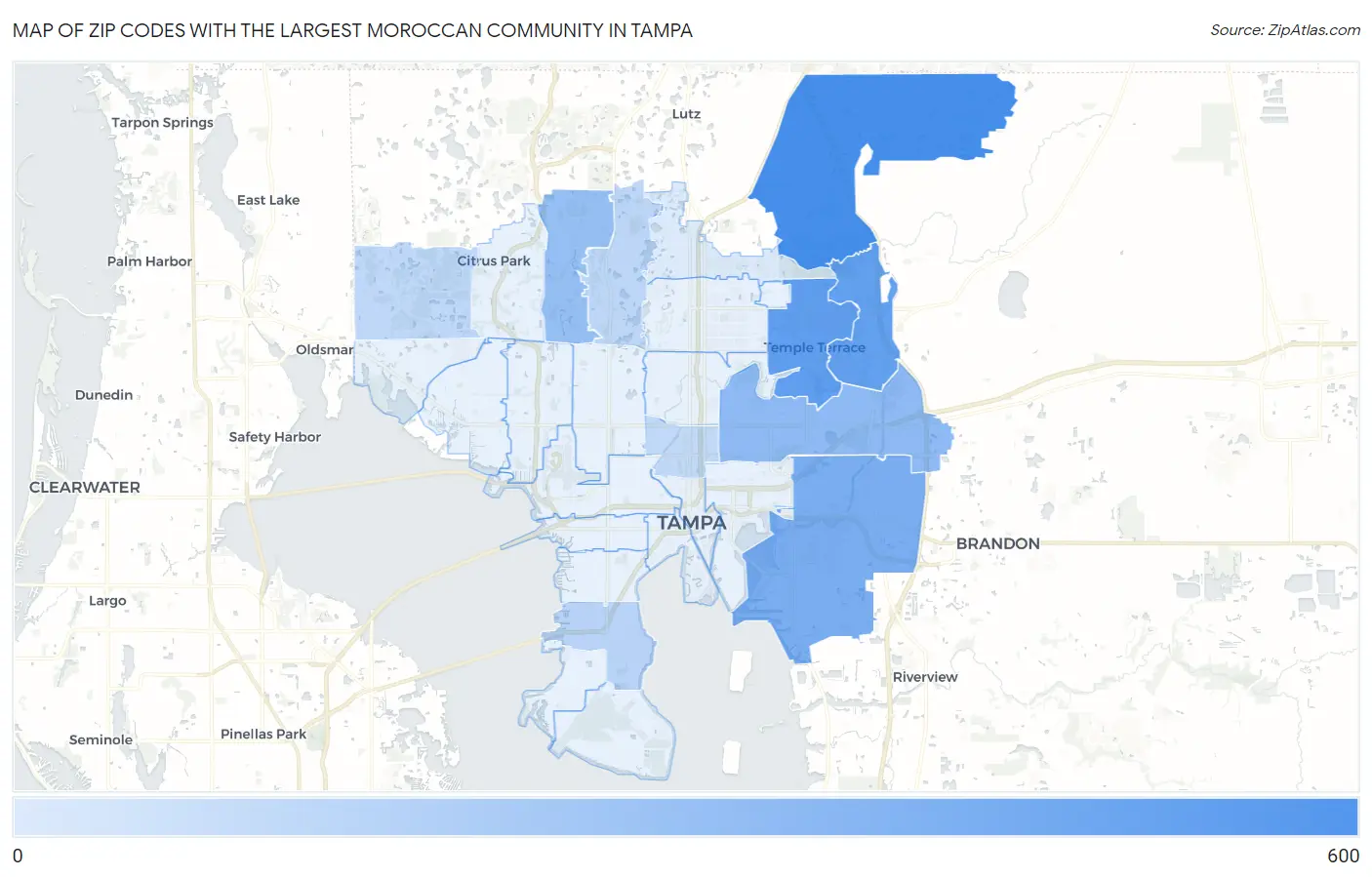 Zip Codes with the Largest Moroccan Community in Tampa Map