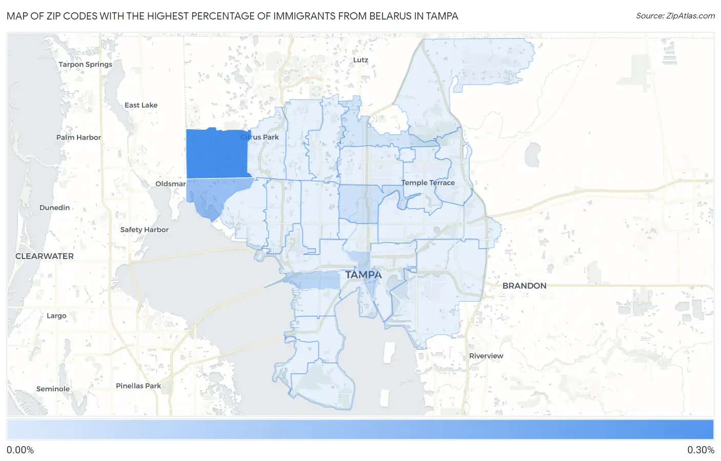 Zip Codes with the Highest Percentage of Immigrants from Belarus in Tampa Map
