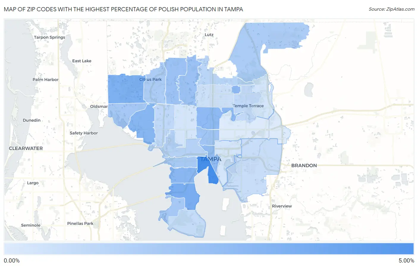 Zip Codes with the Highest Percentage of Polish Population in Tampa Map