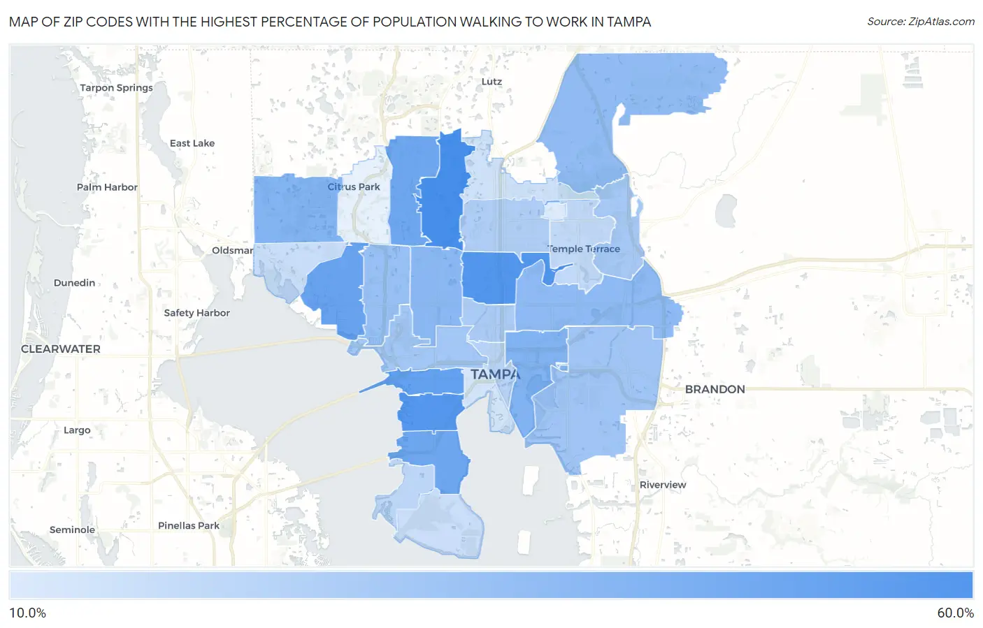 Zip Codes with the Highest Percentage of Population Walking to Work in Tampa Map