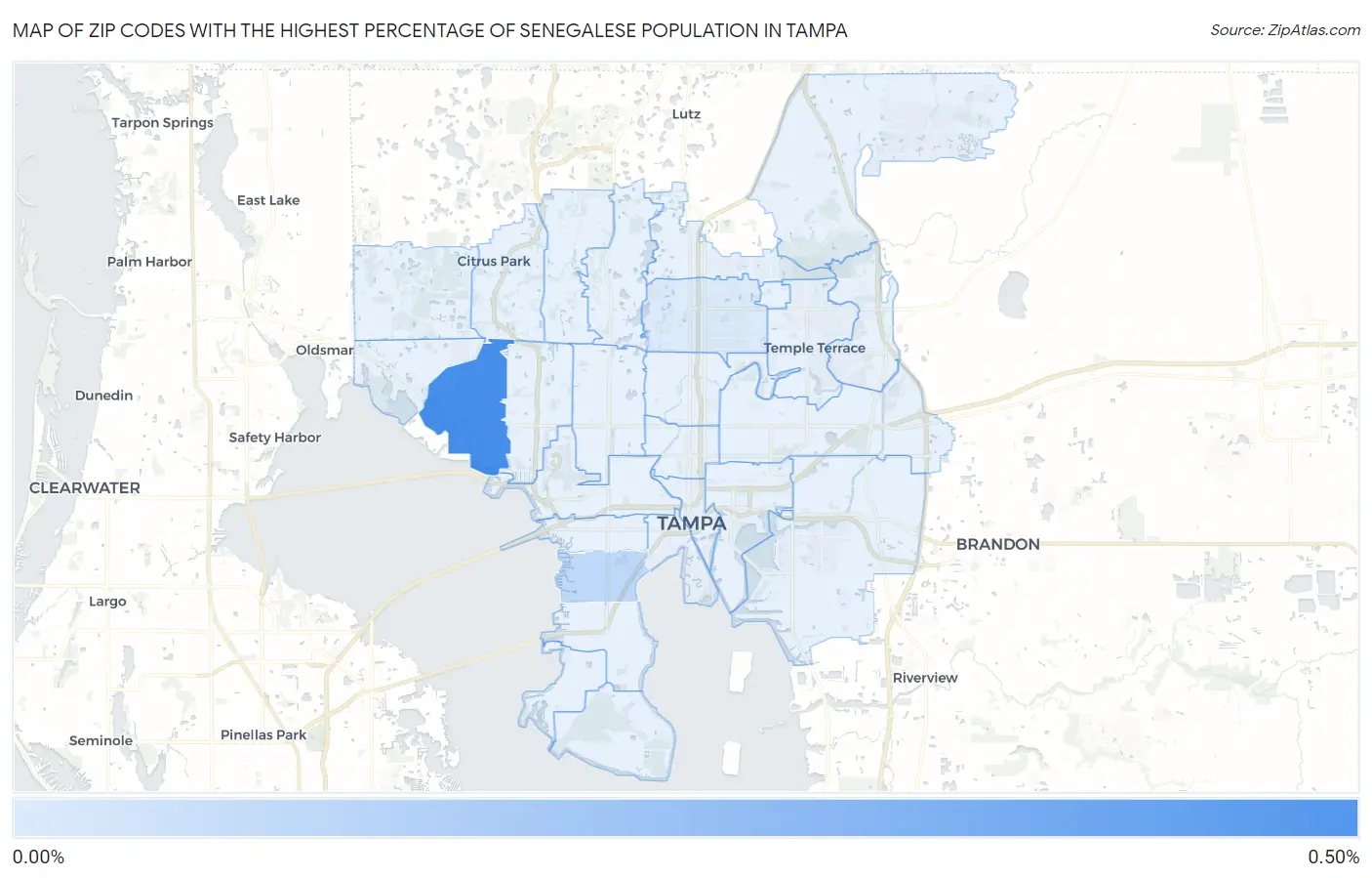 Zip Codes with the Highest Percentage of Senegalese Population in Tampa Map
