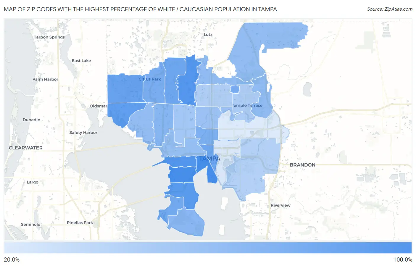 Zip Codes with the Highest Percentage of White / Caucasian Population in Tampa Map