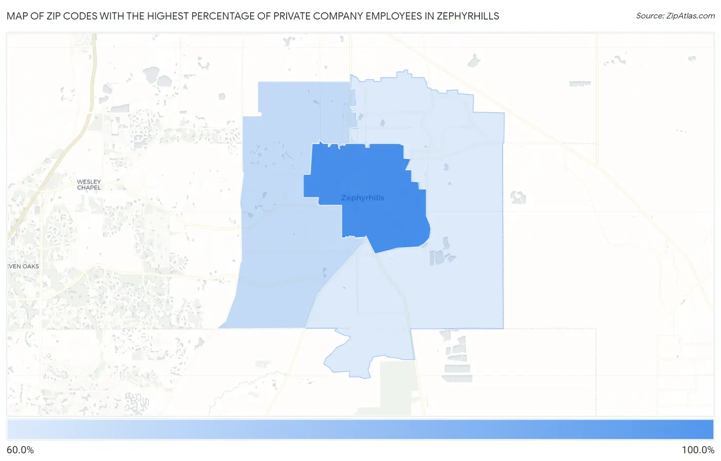 Zip Codes with the Highest Percentage of Private Company Employees in Zephyrhills Map