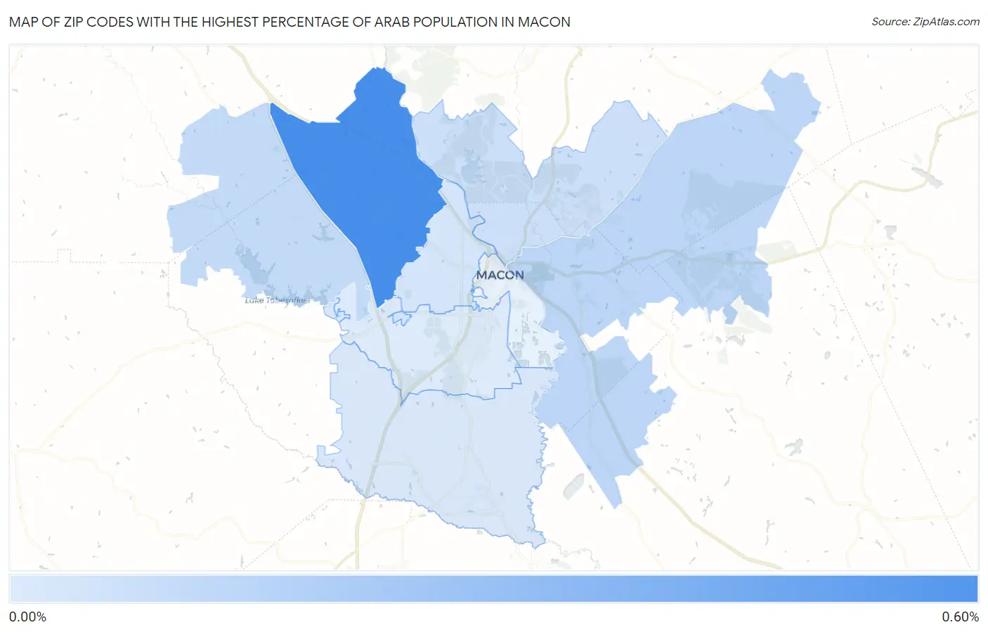 Zip Codes with the Highest Percentage of Arab Population in Macon Map