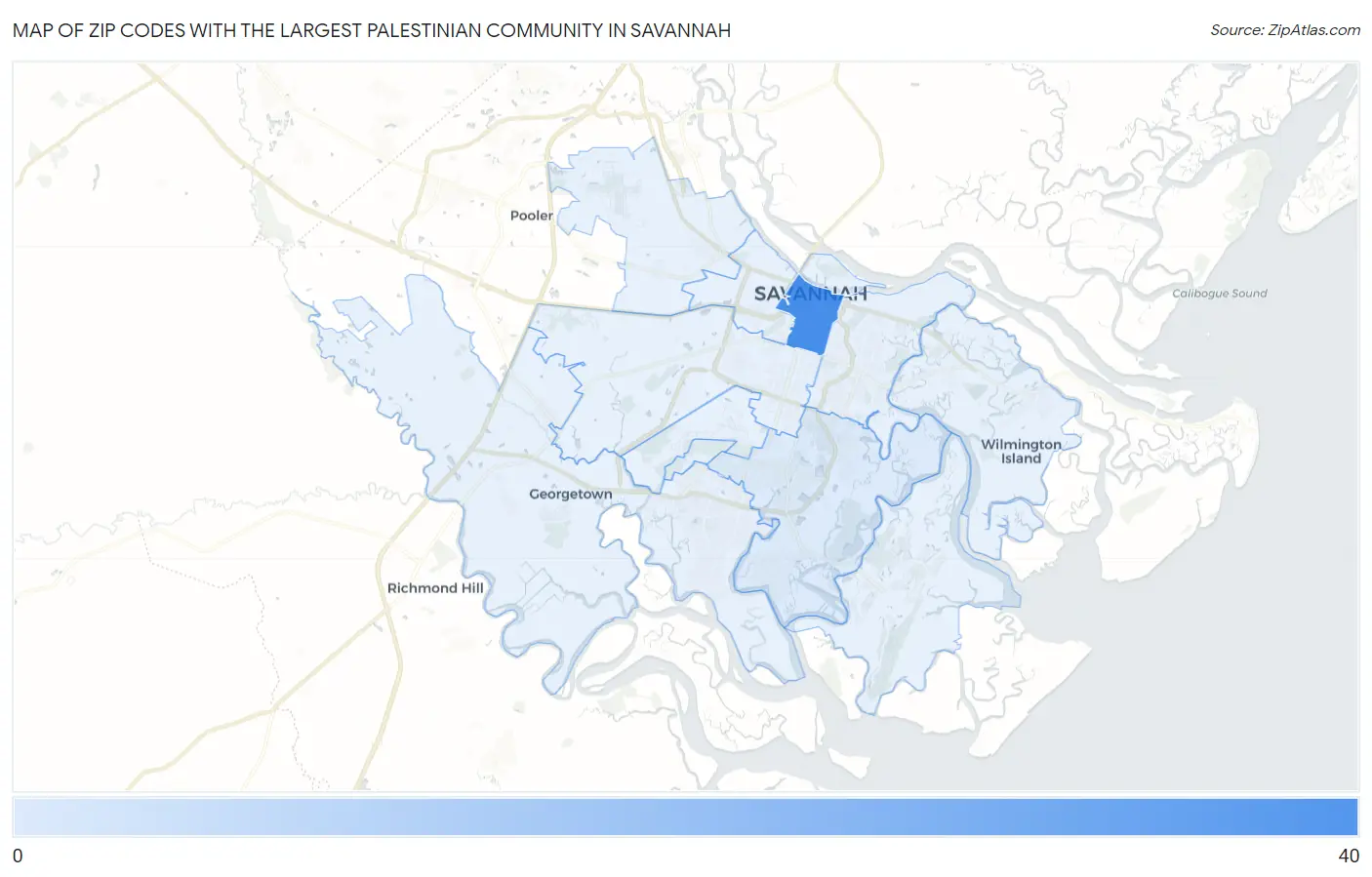 Zip Codes with the Largest Palestinian Community in Savannah Map
