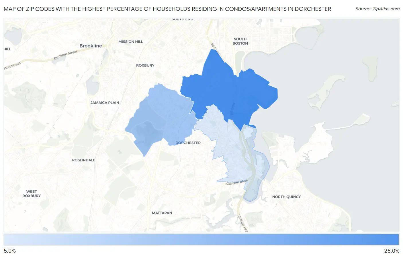 Zip Codes with the Highest Percentage of Households Residing in Condos/Apartments in Dorchester Map