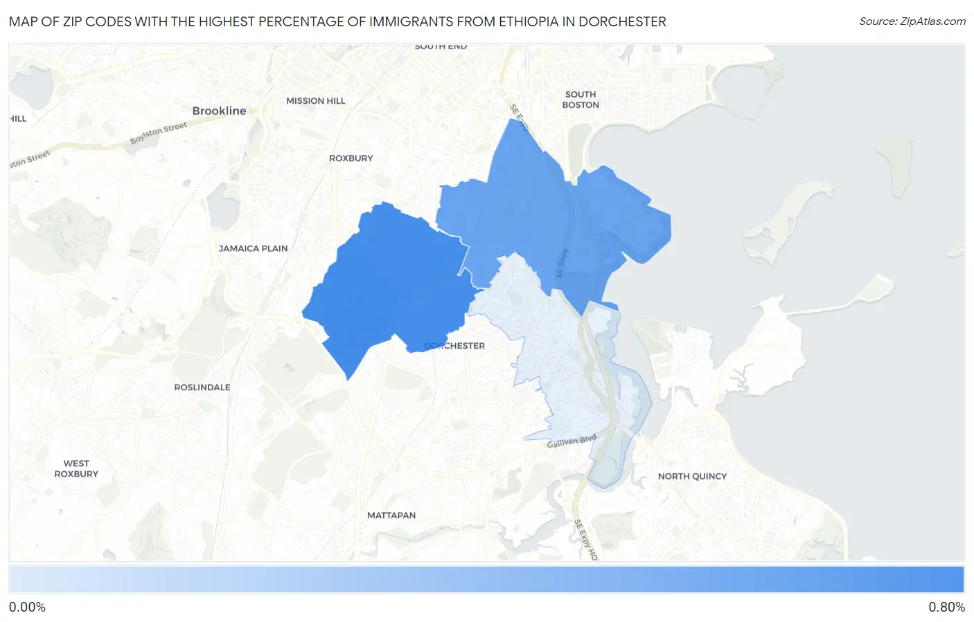 Zip Codes with the Highest Percentage of Immigrants from Ethiopia in Dorchester Map