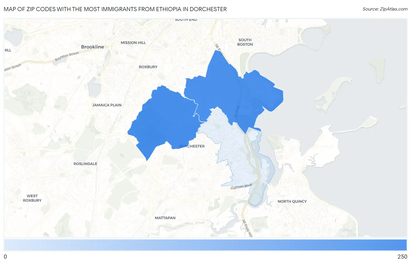 Zip Codes with the Most Immigrants from Ethiopia in Dorchester Map