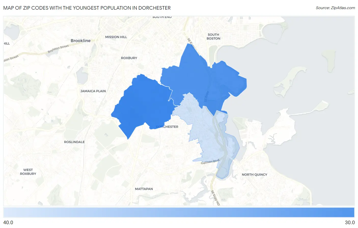 Zip Codes with the Youngest Population in Dorchester Map