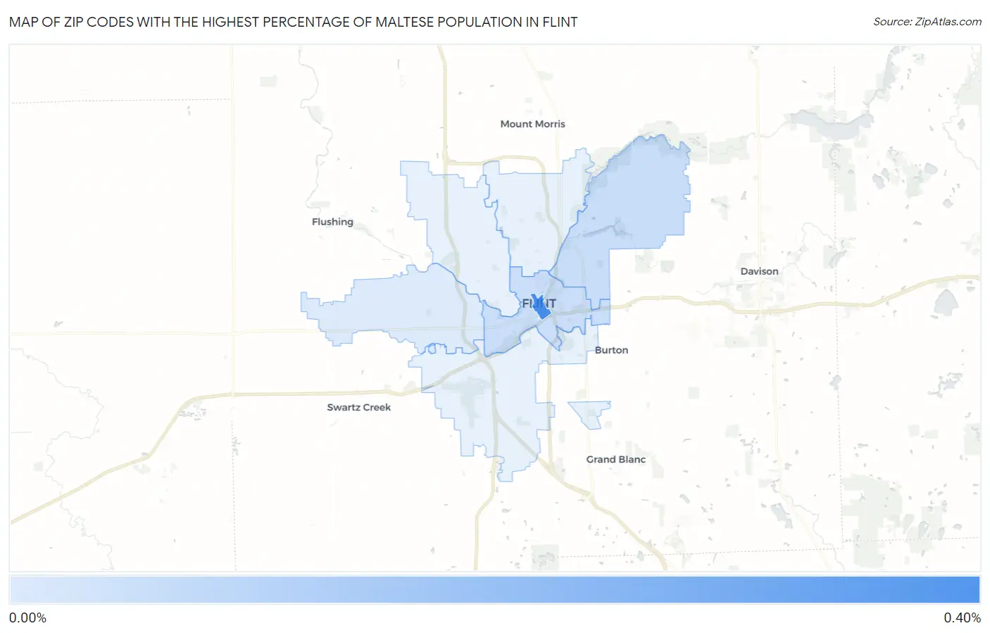Zip Codes with the Highest Percentage of Maltese Population in Flint Map