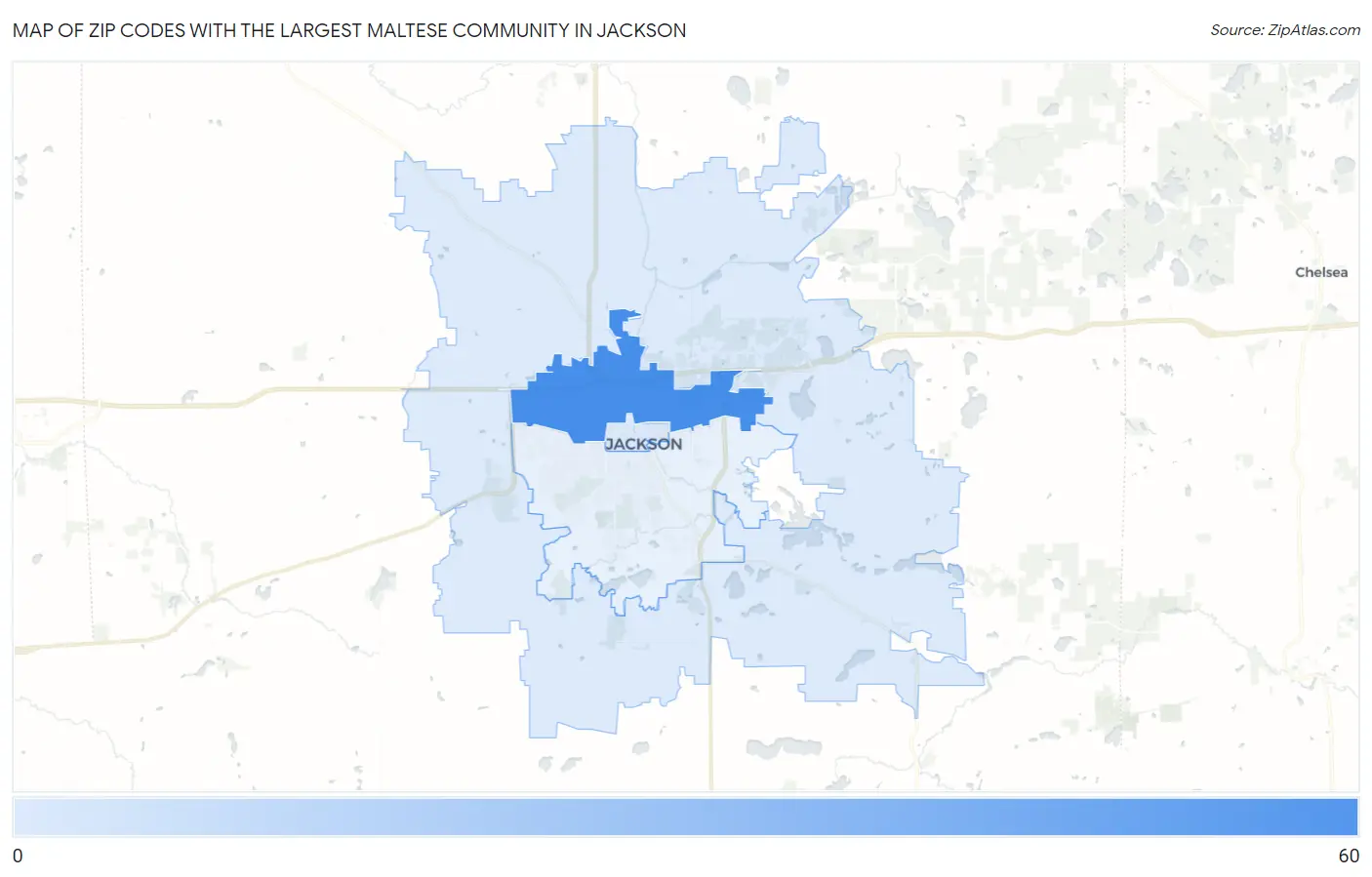 Zip Codes with the Largest Maltese Community in Jackson Map