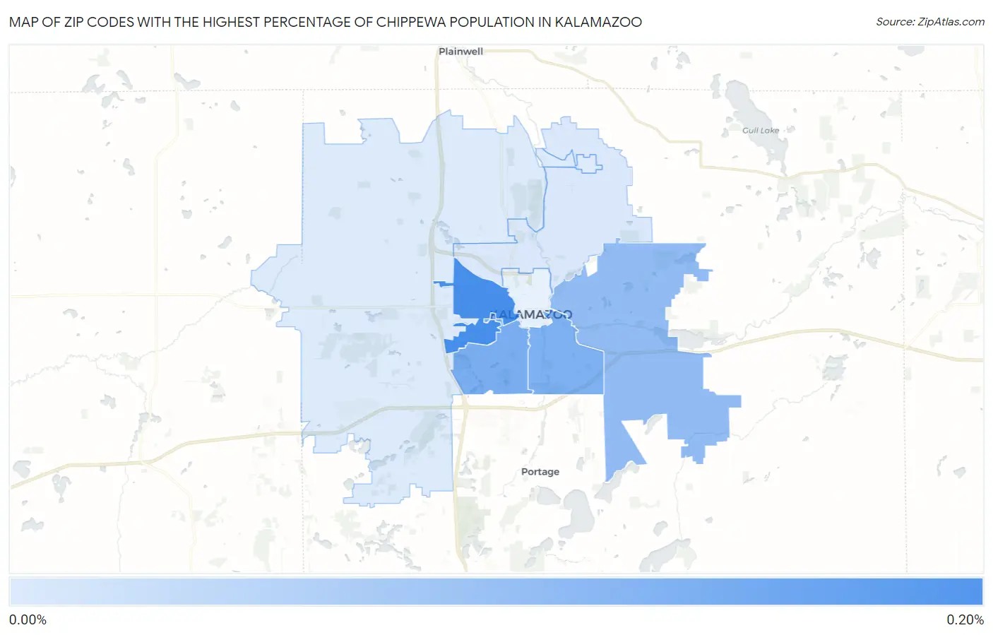 Zip Codes with the Highest Percentage of Chippewa Population in Kalamazoo Map