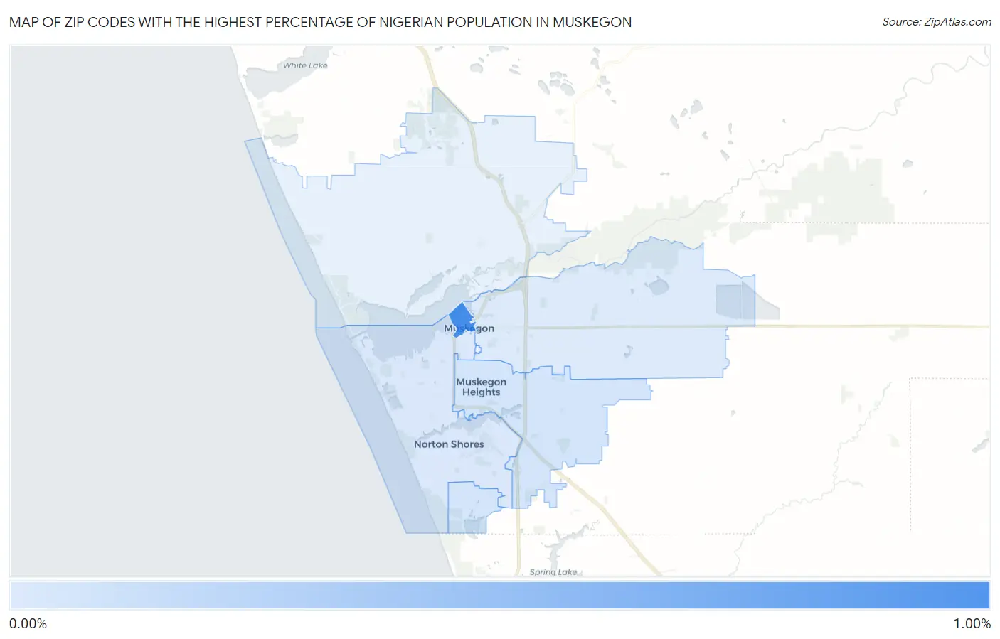 Zip Codes with the Highest Percentage of Nigerian Population in Muskegon Map