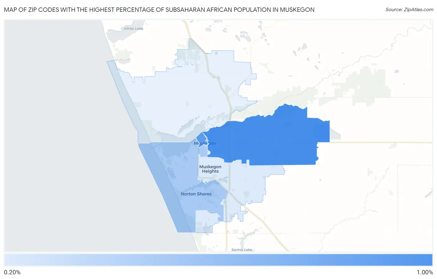 Zip Codes with the Highest Percentage of Subsaharan African Population in Muskegon Map