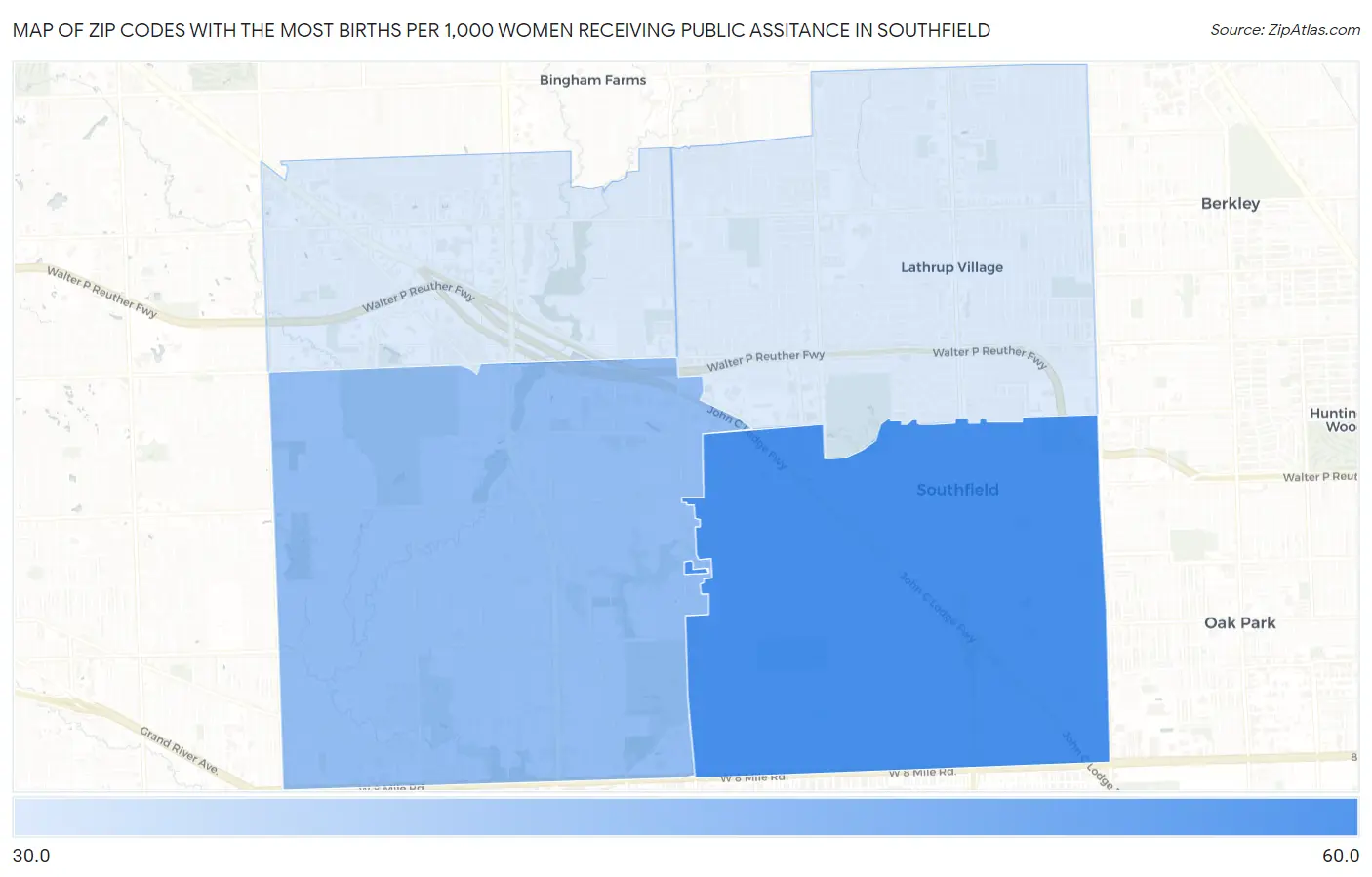 Zip Codes with the Most Births per 1,000 Women Receiving Public Assitance in Southfield Map