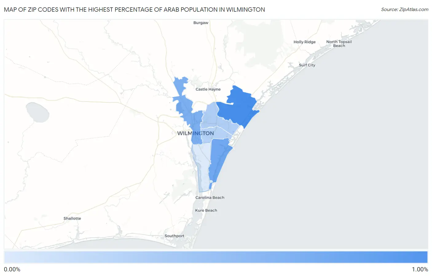 Zip Codes with the Highest Percentage of Arab Population in Wilmington Map