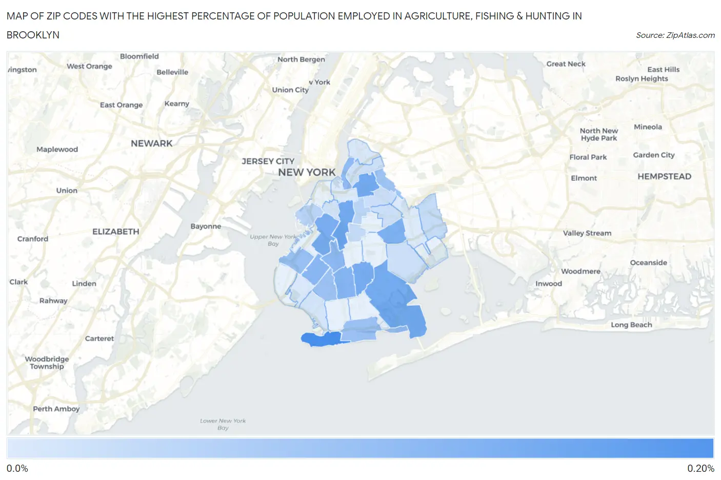 Zip Codes with the Highest Percentage of Population Employed in Agriculture, Fishing & Hunting in Brooklyn Map