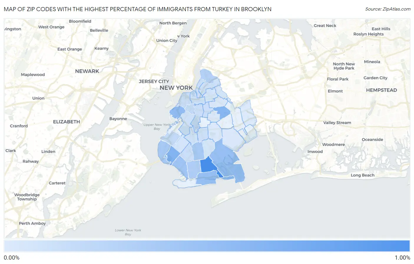 Zip Codes with the Highest Percentage of Immigrants from Turkey in Brooklyn Map