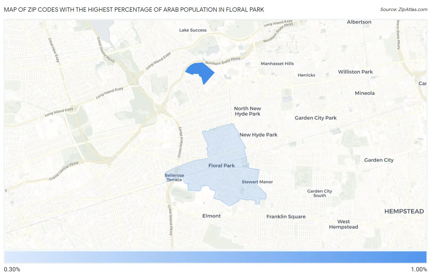 Zip Codes with the Highest Percentage of Arab Population in Floral Park Map