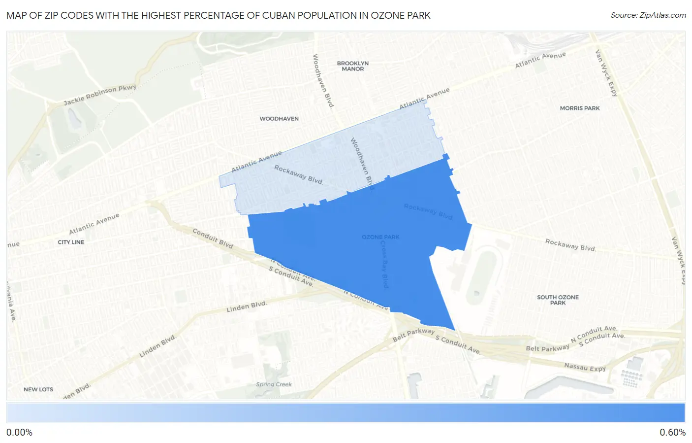 Zip Codes with the Highest Percentage of Cuban Population in Ozone Park Map