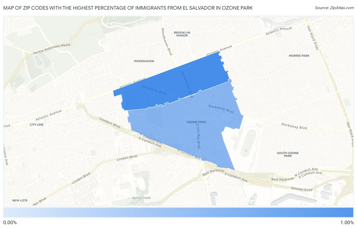 Zip Codes with the Highest Percentage of Immigrants from El Salvador in Ozone Park Map