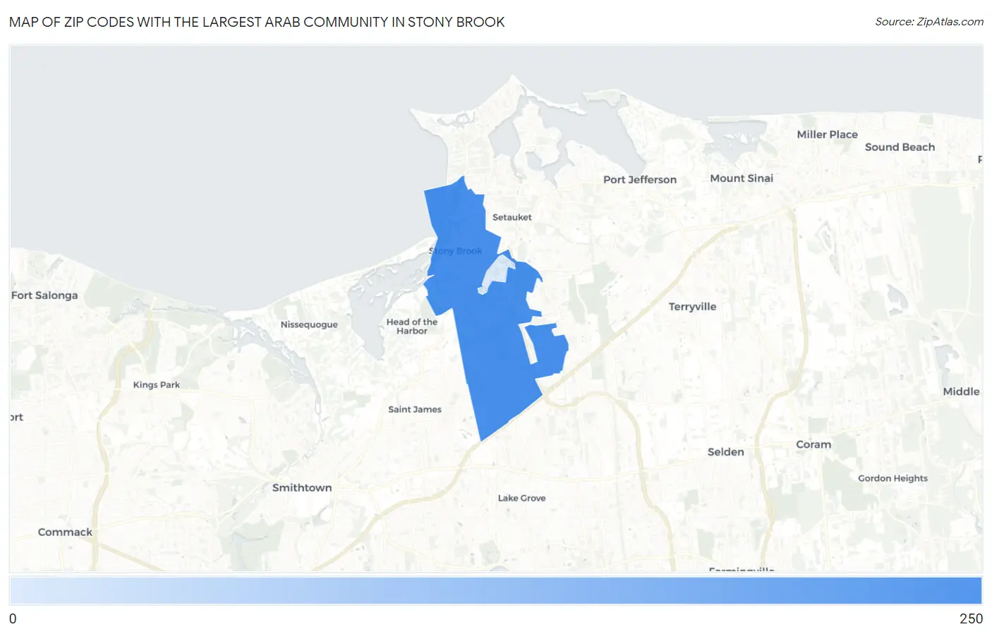 Zip Codes with the Largest Arab Community in Stony Brook Map
