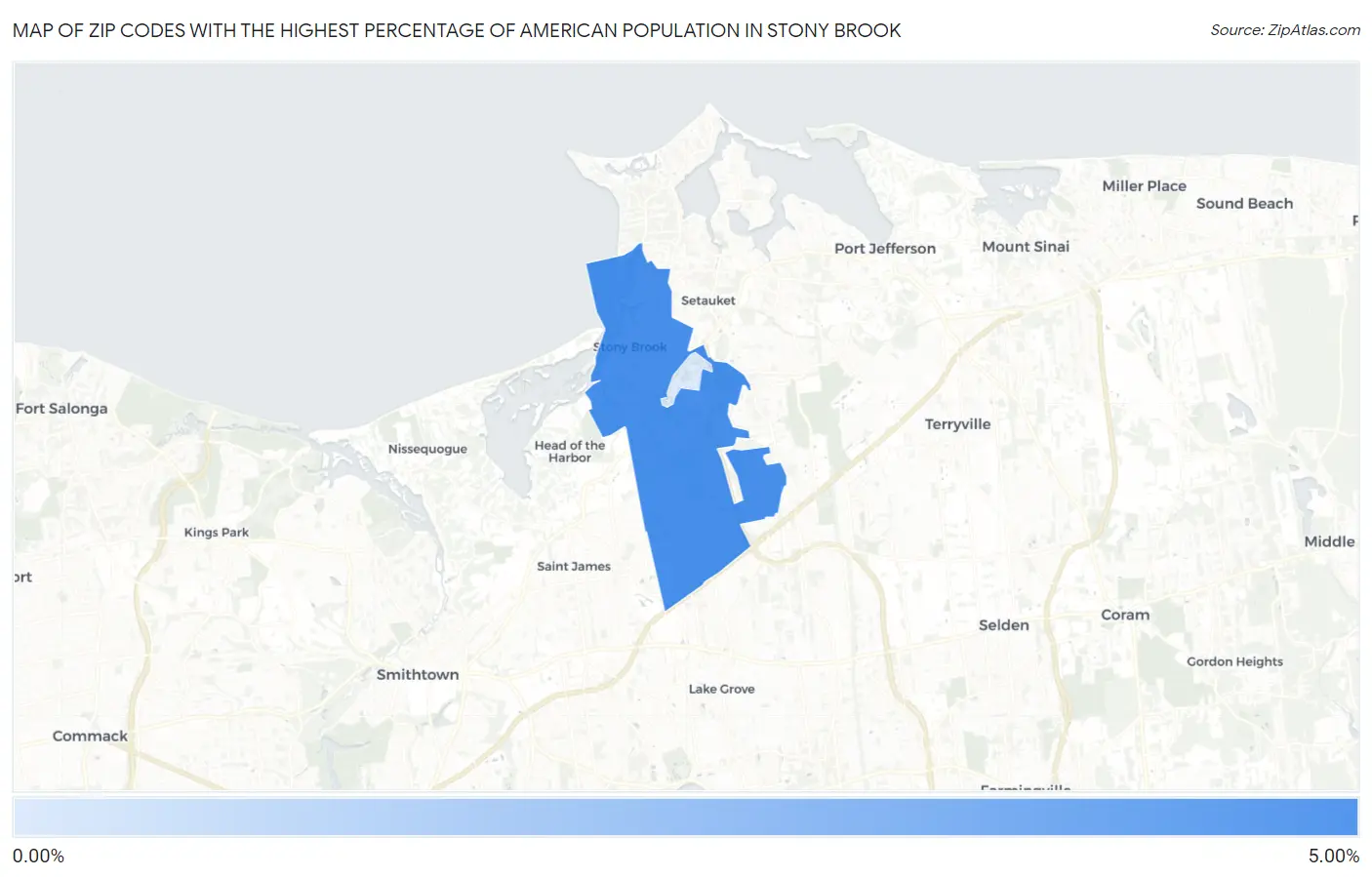 Zip Codes with the Highest Percentage of American Population in Stony Brook Map