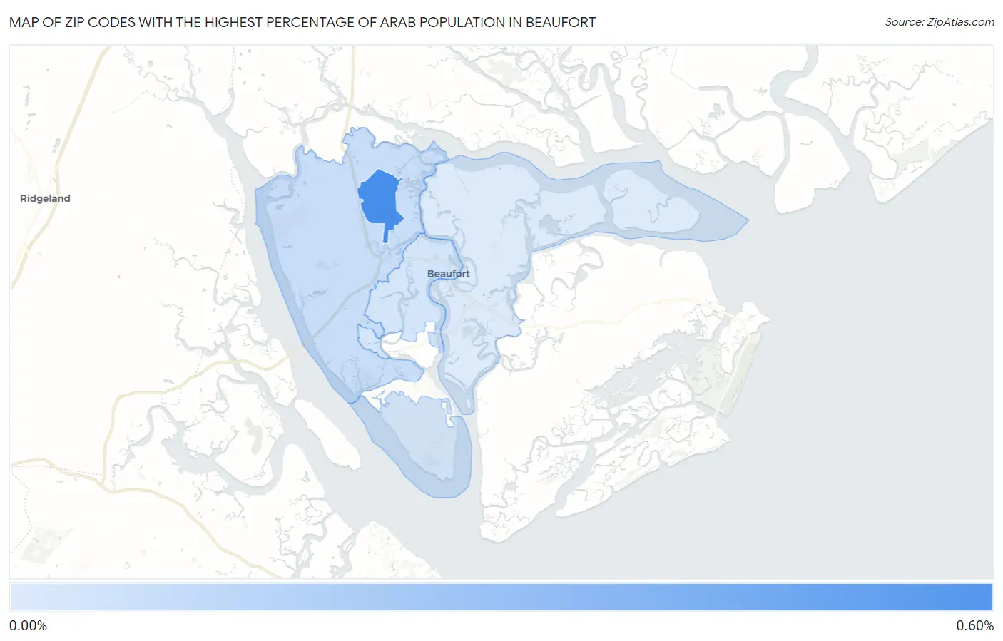 Zip Codes with the Highest Percentage of Arab Population in Beaufort Map
