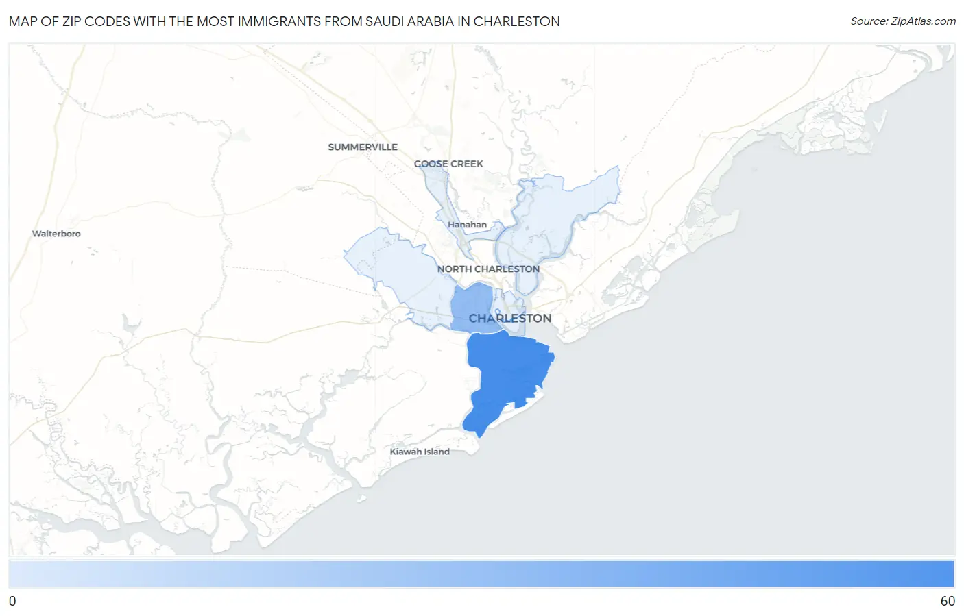 Zip Codes with the Most Immigrants from Saudi Arabia in Charleston Map