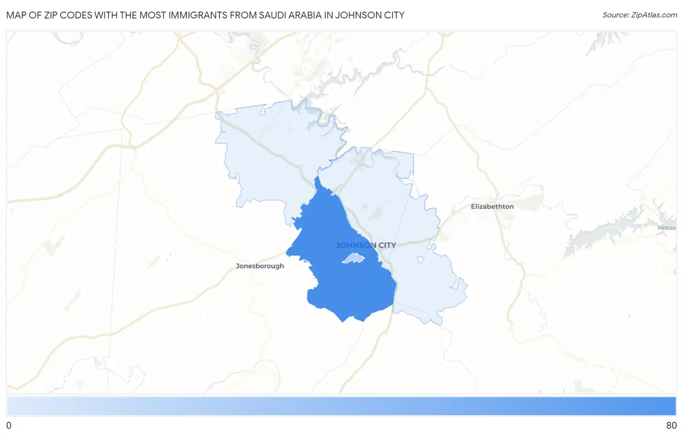 Zip Codes with the Most Immigrants from Saudi Arabia in Johnson City Map