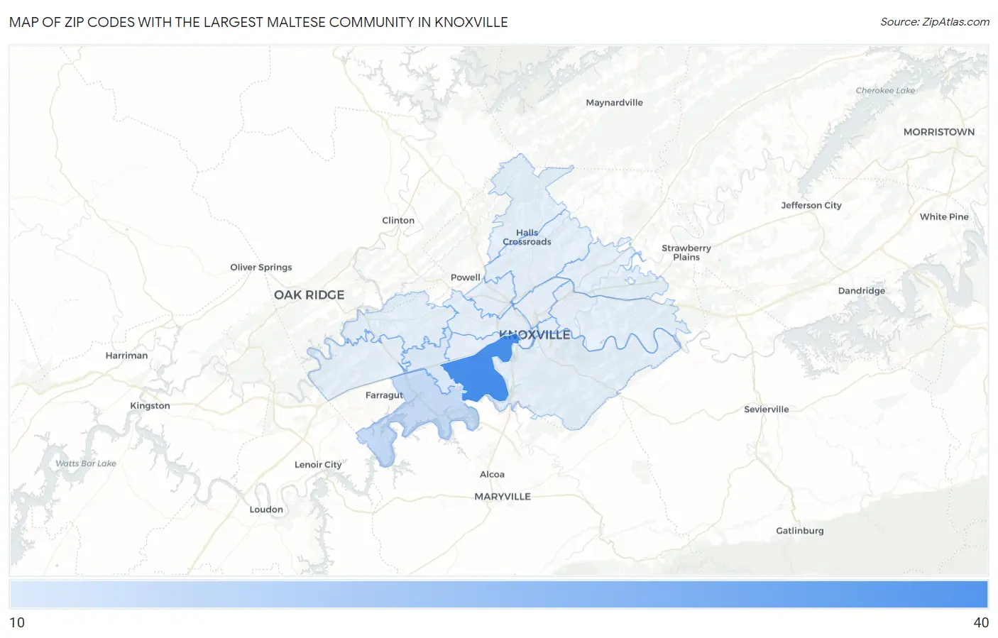 Zip Codes with the Largest Maltese Community in Knoxville Map