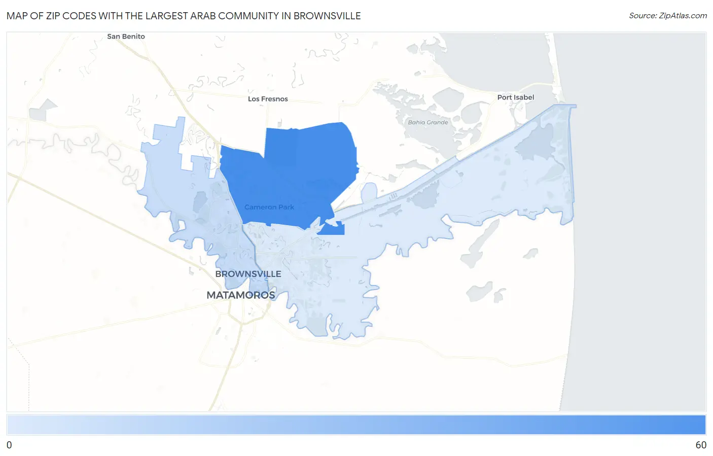 Zip Codes with the Largest Arab Community in Brownsville Map