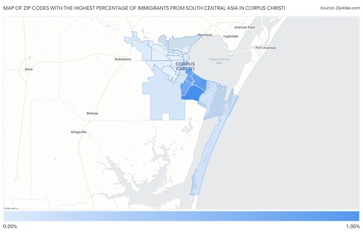 Zip Codes with the Highest Percentage of Immigrants from South Central Asia in Corpus Christi Map