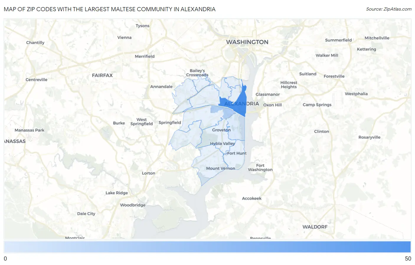 Zip Codes with the Largest Maltese Community in Alexandria Map