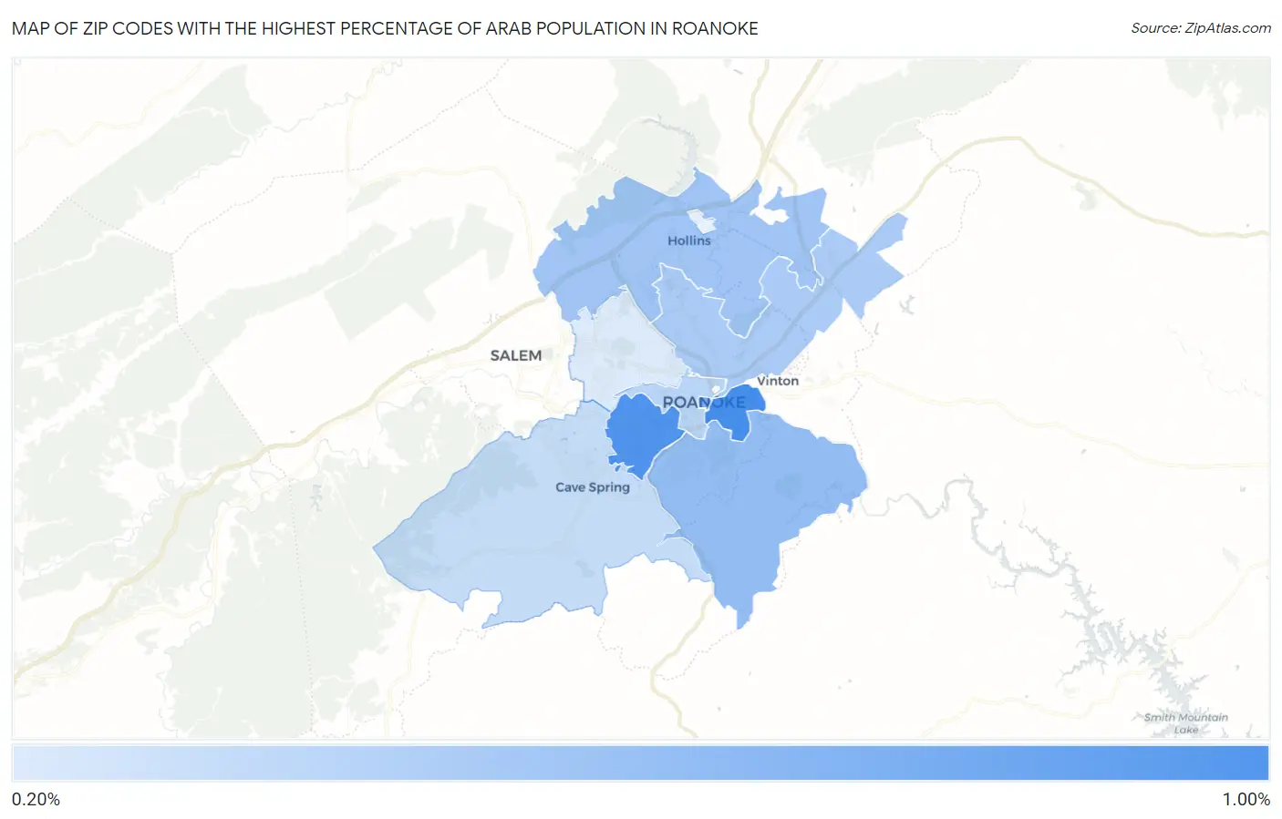 Zip Codes with the Highest Percentage of Arab Population in Roanoke Map