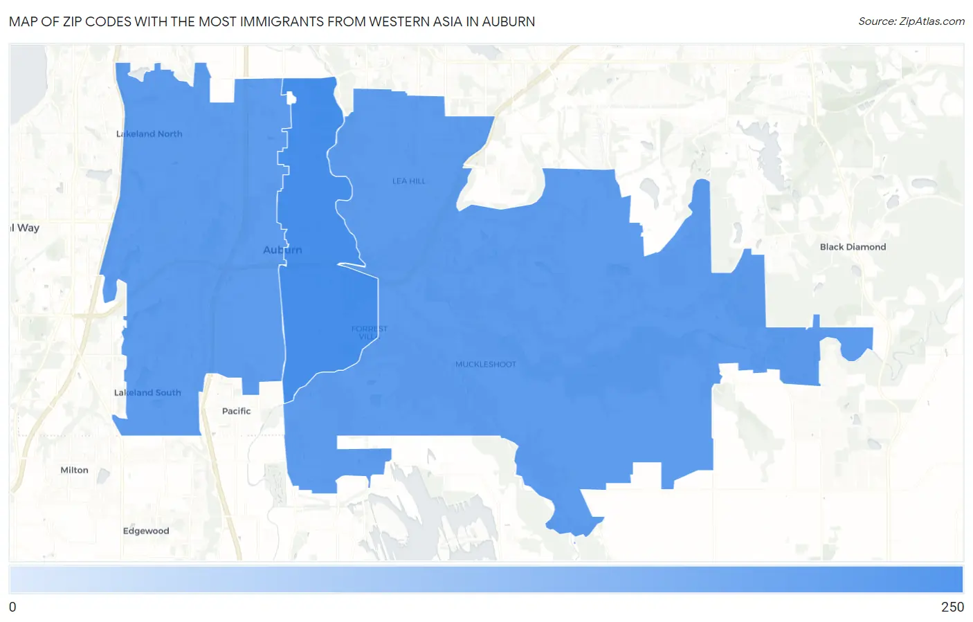 Zip Codes with the Most Immigrants from Western Asia in Auburn Map