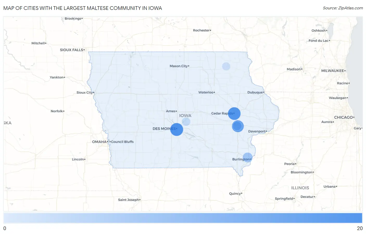 Cities with the Largest Maltese Community in Iowa Map