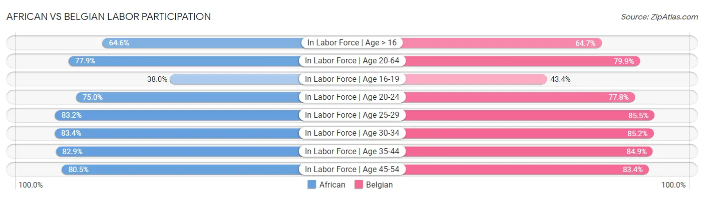 African vs Belgian Labor Participation