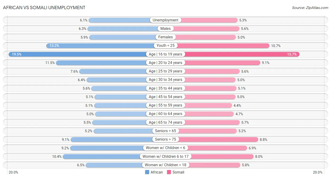 African vs Somali Unemployment