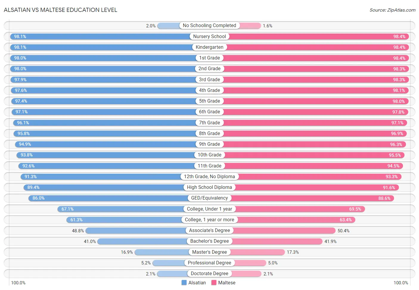 Alsatian vs Maltese Education Level