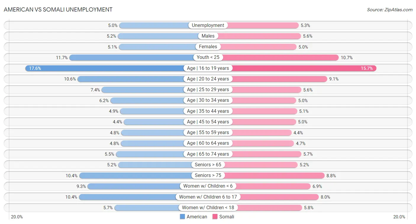 American vs Somali Unemployment