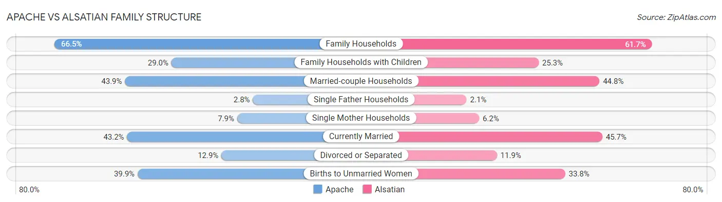 Apache vs Alsatian Family Structure