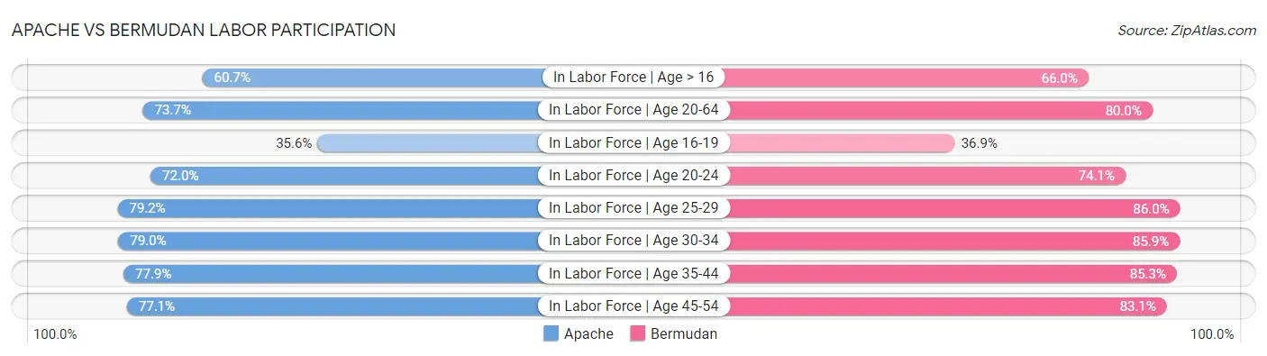 Apache vs Bermudan Labor Participation