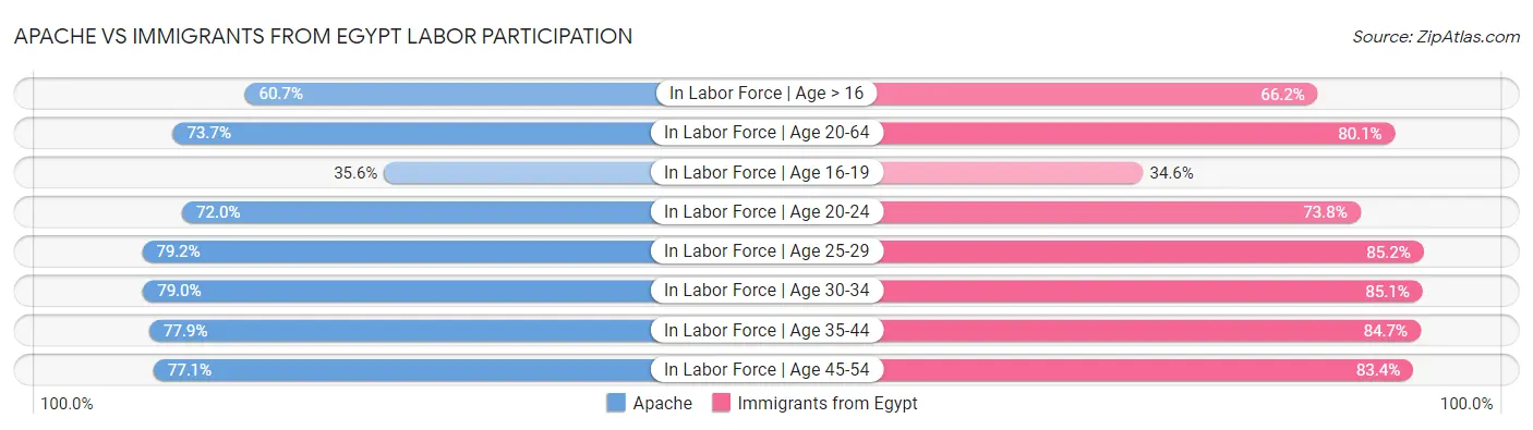 Apache vs Immigrants from Egypt Labor Participation